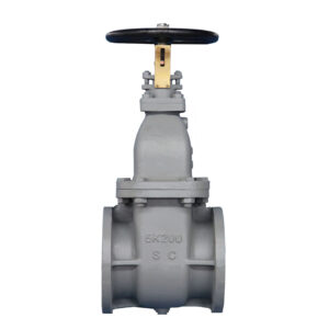 Home-Qingdao Hongfeng Xianglong Valve Manufacturing Co., Ltd