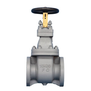Home-Qingdao Hongfeng Xianglong Valve Manufacturing Co., Ltd